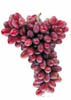 Crimson Seedless