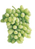 Princess Seedless