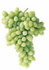 Thompson Seedless